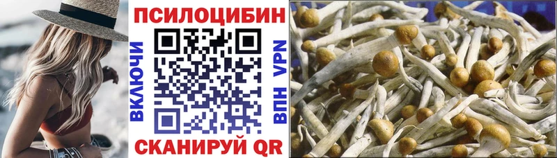 Галлюциногенные грибы GOLDEN TEACHER  купить наркотик  Нолинск 